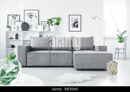 Graue Ecke Sofa stehen in Weiß Wohnzimmer Interieur mit frischen grünen Pflanzen und viele Plakate Stockfoto