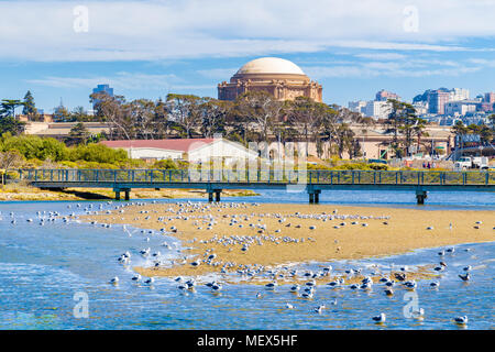Schöne Aussicht von den berühmten Palast der Schönen Künste mit Vögeln auf einer Sandbank an einem sonnigen Tag mit blauen Himmel und Wolken im Sommer, San Francisco, Kalifornien Stockfoto