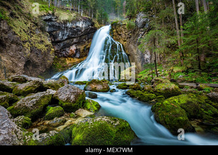 Schöne Aussicht von berühmten Gollinger Wasserfall mit bemoosten Felsen und grüne Bäume auf einem Moody im Frühling, Golling, Salzburger Land, Österreich Stockfoto