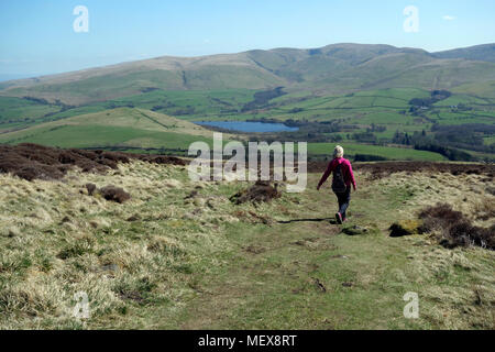 Einsame Frau Hillwalker zu Fuß in Richtung Uldale Fells und über Wasser aus dem Wainwright Binsey im Nationalpark Lake District, Cumbria, England, UK. Stockfoto