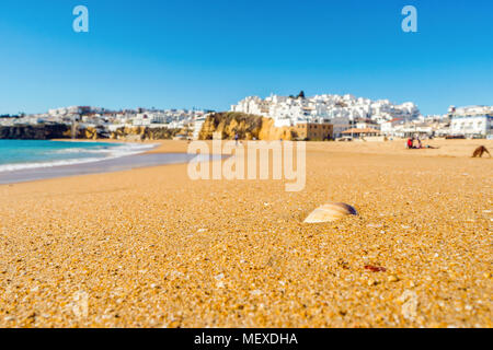 Muscheln am breiten Sandstrand in der Weißen Stadt Albufeira von Atlantik, Algarve, Portugal Stockfoto