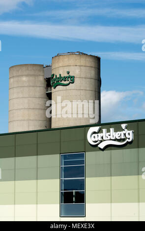 Brauerei Carlsberg, Northampton, Northamptonshire, England, Großbritannien Stockfoto