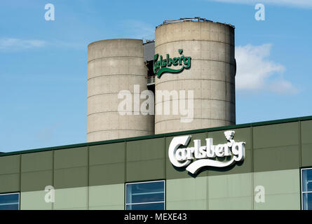 Brauerei Carlsberg, Northampton, Northamptonshire, England, Großbritannien Stockfoto