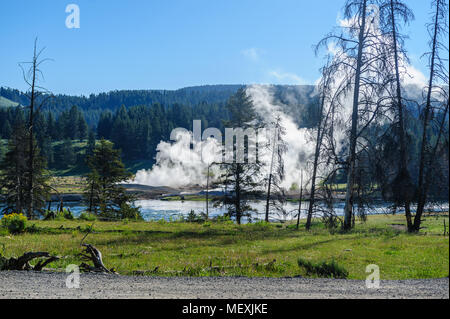 Geysir am Schlammvulkan Stockfoto