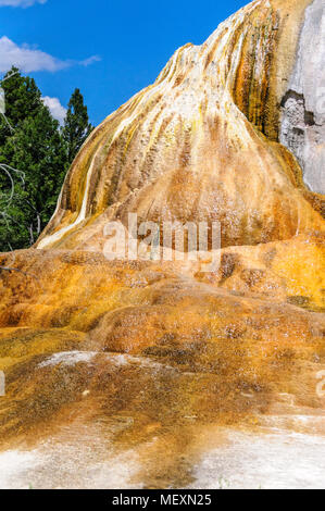 Orange Feder Damm in Mammoth Hot Springs, Yellowstone National Park Stockfoto