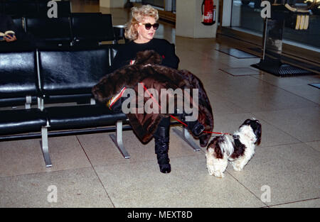 Zsa Zsa Gabor, ungarisch amerikanische Fictitious character, wartet mit schoßhund am Flughafen. Ungarisch-amerikanische Schauspielerin Zsa Zsa Gabor und ihren Hund am Flughafen warten. Stockfoto