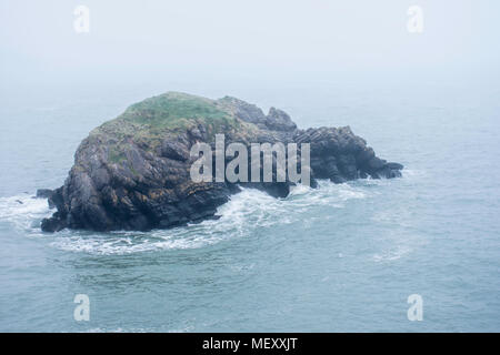 Felsigen Insel auf misty Meer. Pembrokeshire Coast, Uk. Scenic britische Landschaft. South Wales Küste. Stockfoto