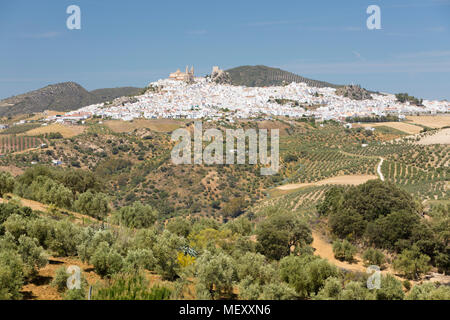 Typisch andalusischer Landschaft mit Olivenhainen und weiße Stadt Olvera, Provinz Cadiz, Andalusien, Spanien, Europa Stockfoto