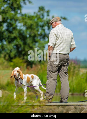 Ein Mann mit seinem Hund, ein Bracco Italiano, genannt auch ein italienisches Zeiger oder Italienischen Vorstehhund, durch ein See an einem Sommertag Stockfoto