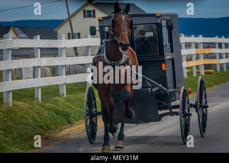 Im freien des amischen Pferd und Wagen fährt auf einer Straße in Lancaster County Stockfoto