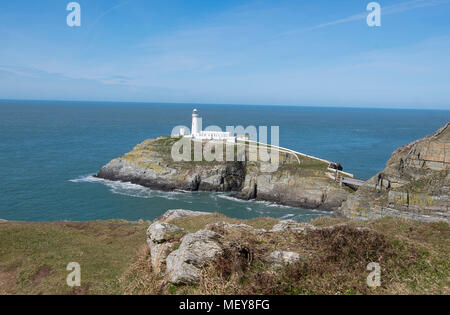 South Stack Leuchtturm, Anglesey Stockfoto