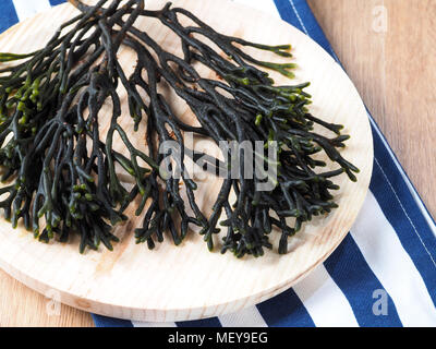 Codium - Velvet Horn - Spongeweed. Essbare grüne Algen in der Familie Codiaceae. Binomial Name: Codium Tomentosum. Es gibt etwa 50 Arten worldwi Stockfoto