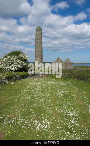 Runder Turm. Scattery Island. Clare. Stockfoto