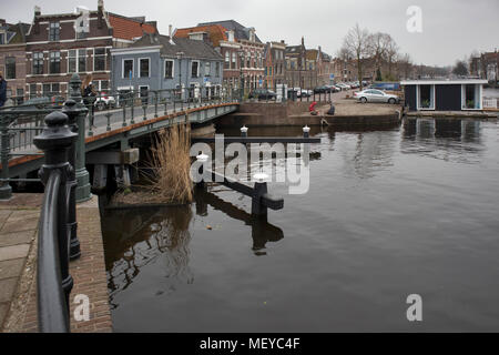 LEIDEN, Niederlande - 20 April, 2018: die Menschen besuchen die Altstadt in Den Bosch, Niederlande. Ansicht der Neuen Rhein Stockfoto