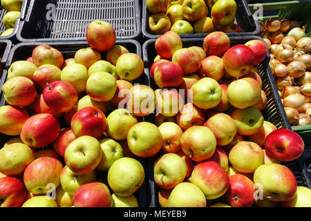 Schöne Äpfel in Kisten auf den Markt Stockfoto