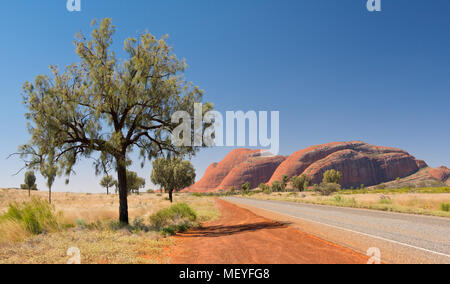 Straße nach Kata Tjuta. Northern Territory, Australien Stockfoto