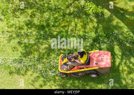 Blick von oben auf einen männlichen Schwarzen Gärtner mähen den Rasen bestreut mit Gänseblümchen auf einem rasentraktor im Schatten eines Baumes. Stockfoto