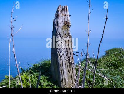 Alten Zaun Pfosten auf der Klippe Stockfoto