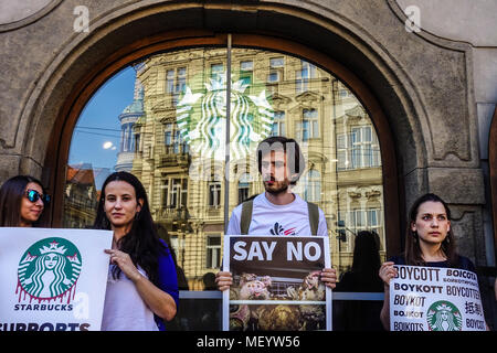 Gegner der supranationalen Starbucks-Kaffeekette protestierten vor dem Café in Malostranske Namesti, Mala Strana, Prag, Tschechische Republik Stockfoto