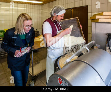 Los geht's: Cutter Trip für Reis, Getreide und Meersalz. Miso, traditionelle japanische Würze, hergestellt in Deutschland, handwerkliche Herstellung des ersten deutschen Miso, hergestellt in Schwarzwald, Deutschland Stockfoto