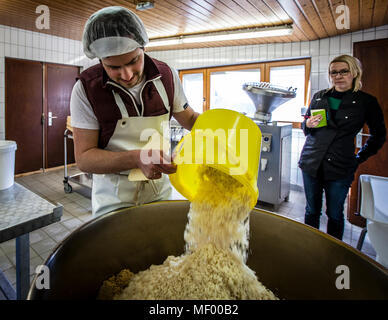 Miso, traditionelle Japanische würzen, in Deutschland hergestellt, handwerkliche Herstellung der ersten Deutschen Miso in Schwarzwald, Deutschland Stockfoto