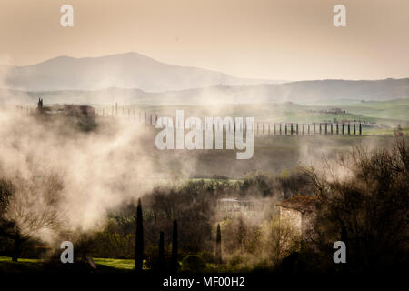 Toskanische Landschaft im Frühling, Nebel steigt aus dem Thermalbrunnen, grüne Felder, Zypressen und Olivenbäume, Val d'orcia Italien, UNESCO-Weltkulturerbe. Am Morgen steigt leichter Nebel aus den heißen Quellen von Bagno Vignoni auf Stockfoto