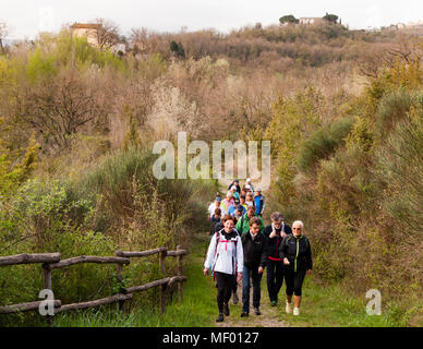 Wandermarathon durch die Toskana. Toskanische Landschaft im Frühling, grüne Felder, Zypressen und Olivenbäume, Wandern in der Toskana, Val d'orcia Italien, UNESCO-Weltkulturerbe Stockfoto