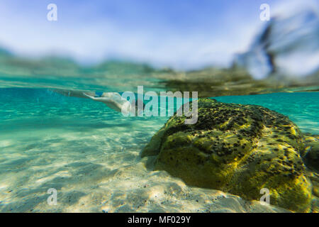 Schnorcheln im türkisblauen Meer von Cala Monte Turno Castiadas Cagliari Sardinien Italien Europa Stockfoto