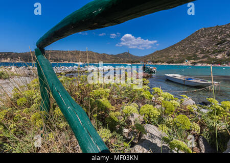 Mediterrane Pflanzen umrahmen die Fischerboote im türkisfarbenen Meer Punta Molentis Villasimius Cagliari Sardinien Italien Europa Stockfoto