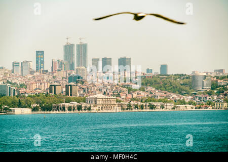 Asien, Türkei, Istanbul, Besektas, Bosporus, Dolmabahce Palast, fliegender Vogel im Vordergrund. Stockfoto