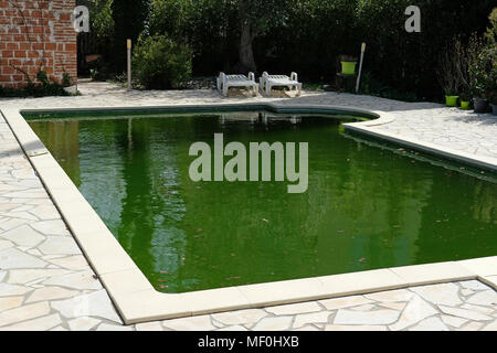 Ein unreines Swimmingpool mit grünem Wasser Stockfoto