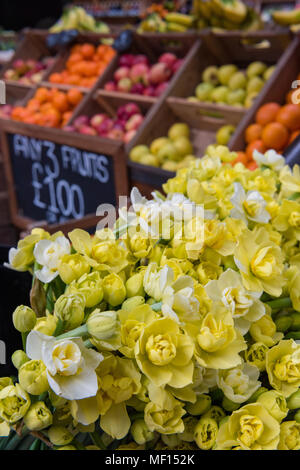 Frische Narzissen für Verkauf auf eine Bunte, mit Blumenmustern und Gemüsehändler auf Borough Market in Central London ausgeht. Frühling Blumen und Früchte auf dem Markt stehen Stockfoto