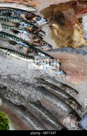 Frischer Fisch und Makrelen für Verkauf bei einem fischhändler am Borough Market im Zentrum von London. ölige gesunde Fische und Lebensmittel mit Omega-3-Ölen. Stockfoto