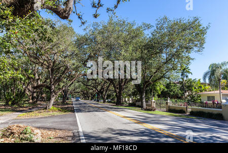 Eichen entlang Korallenriff, Coral Gable, Miami-Dade County, Florida, USA. Stockfoto