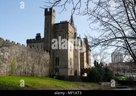 Das Schloss von Cardiff von Bute Park in Wales, Großbritannien Stockfoto