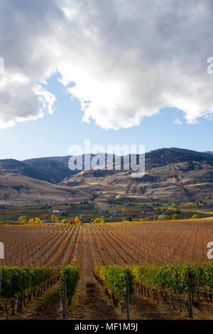 Malerischer herbst Blick auf die Landschaft und die Weinberge von Oliver im Okanagan Valley in British Columbia, Kanada. Stockfoto