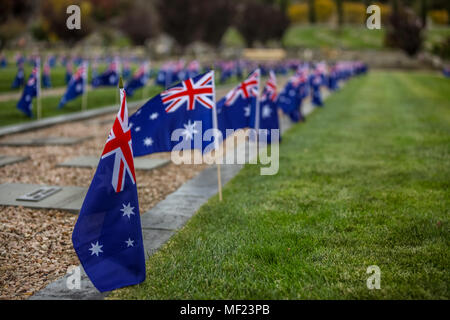 Ballarat, Victoria, Australien. 24 Apr, 2018. Schülerinnen und Schüler aus MacArthur Street und Pleasant Street Grundschulen in Ballarat Victoria nahm sich die Zeit, Flaggen auf den Gräbern im Ballarat Alten Friedhof zu pflanzen. Über beide von Ballarat Friedhöfe, mehr als 1300 Gräber werden so markiert werden, wenn die Dämmerung bricht am Anzac Day die Flags werden an die Gräber der jeden Ersten Weltkrieg Soldat bekannt zu vergraben oder es gedacht werden flattern. Credit: Brett Keating/Alamy leben Nachrichten Stockfoto