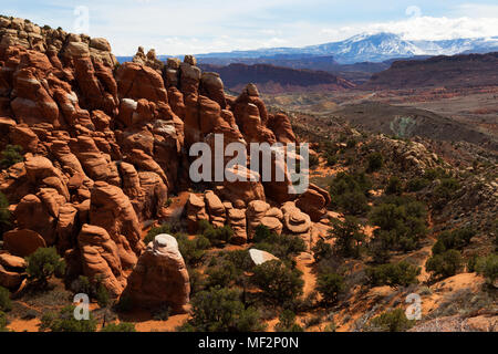 Feuerofen und La Sal Mountains, Arches National Park, Moab, Utah, USA Stockfoto