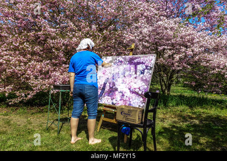 Ein Mann, der ein Bild von blühenden Kirschbäumen in einem Garten malte Stockfoto