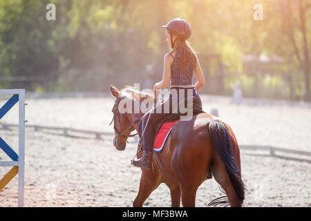 Junge Jugendmädchen reiten ihr Pferd im Training im Sommer Tag Stockfoto