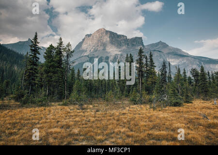 Kanada, British Columbia, Columbia-Shuswap A, Rocky Mountains, Michael Peak, Yoho National Park Stockfoto