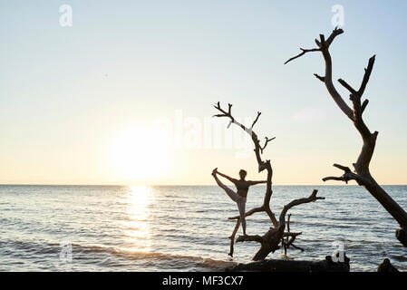 Junge Frau mit Yoga auf einen umgestürzten Baum im Meer bei Sonnenuntergang Stockfoto