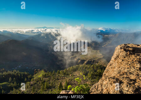 Spanien, Kanarische Inseln, Gran Canaria, Blick vom Roque Nublo Stockfoto