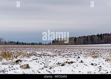 Feld mit der Schneeschmelze im Frühjahr gepflügt, in der Ferne ein Hain Stockfoto