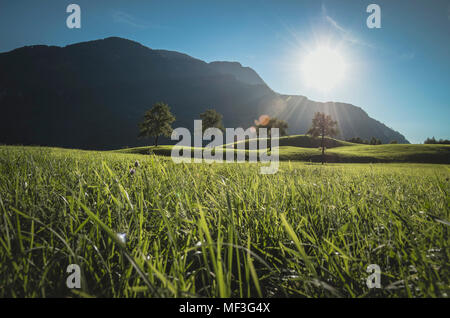 Österreich, Bad Ischl, Katrinberg und Wiese gegen die Sonne Stockfoto