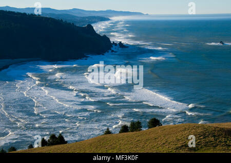 Blick auf den Salmon River Point, Cascade Kopf bewahren, Oregon Stockfoto