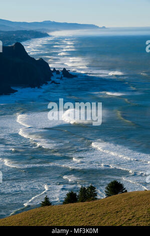 Blick auf den Salmon River Point, Cascade Kopf bewahren, Oregon Stockfoto