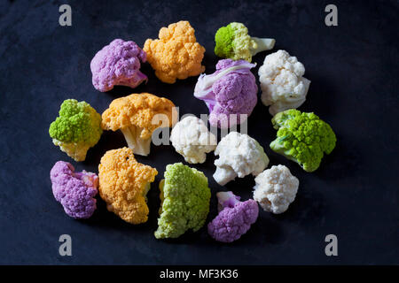 Farbige Blumenkohlröschen auf dunklem Hintergrund Stockfoto