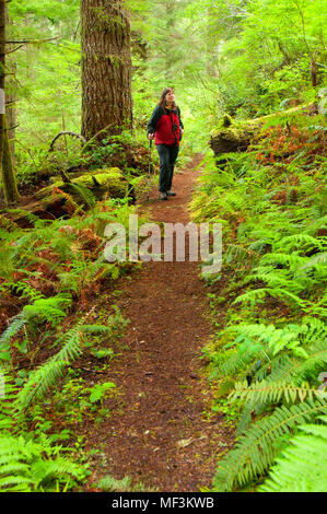 Harris Ranch Trail, Drift Creek Wilderness Siuslaw National Forest, Oregon Stockfoto