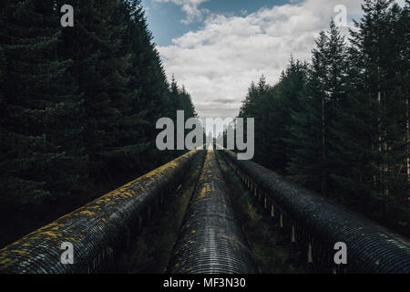 Kanada, British Columbia, Elk Falls, Elk Falls Provincial Park, Campbell River, Leitungen Stockfoto